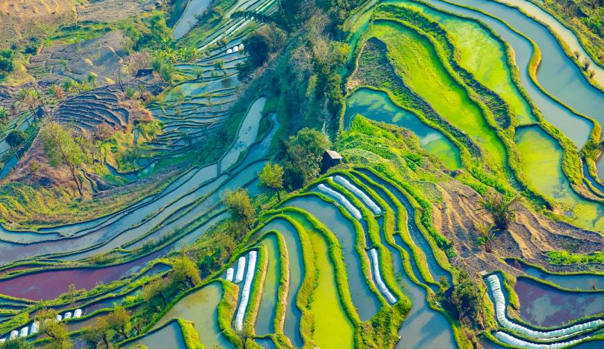 宝妈必备神器：鸡东县产品视频拍摄轻松育儿好帮手