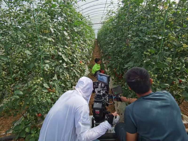 鸡东县产品宣传视频拍摄公司进阶指南，助力品牌抢占传播高地